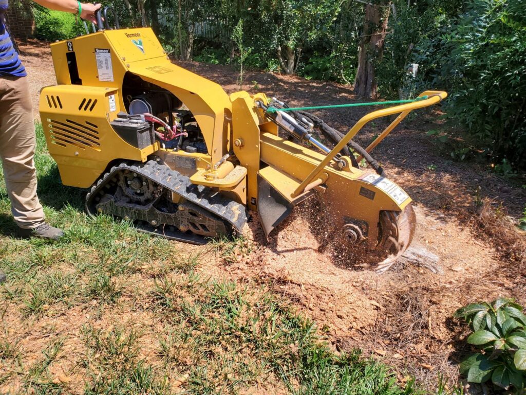 Stump Grinding in Indian Trail, NC