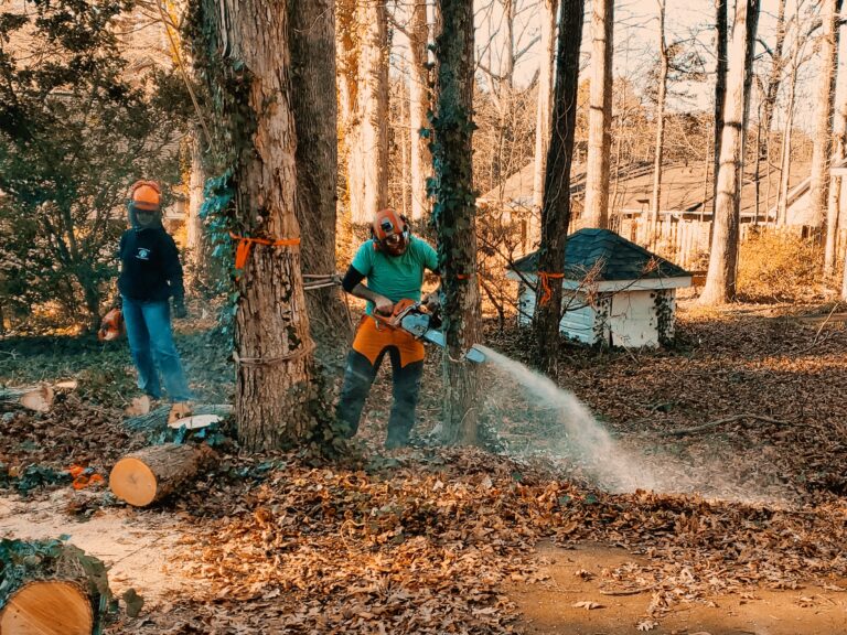 Tree Removal in Mint Hill, NC